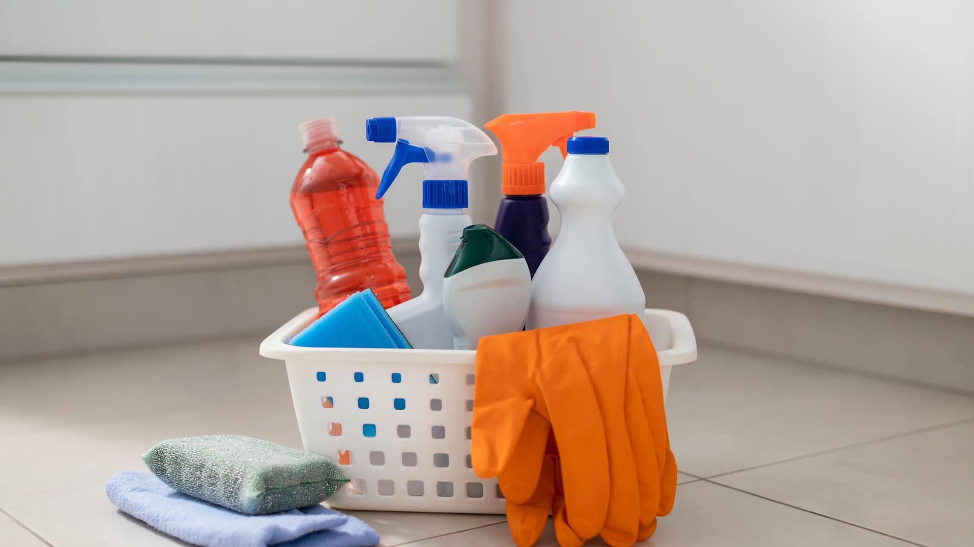 Parceria com grandes redes varejistas leva marca a novos estados