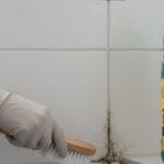 Como tirar mofo do rejunte com água sanitária sem estragar
