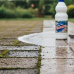 Como tirar musgo de pedra de jardim sem estragar o caminho